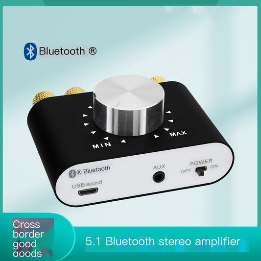 100W Bluetooth Amplifier for Home and Car Use